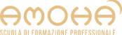 logoamo
